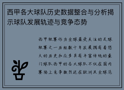 西甲各大球队历史数据整合与分析揭示球队发展轨迹与竞争态势