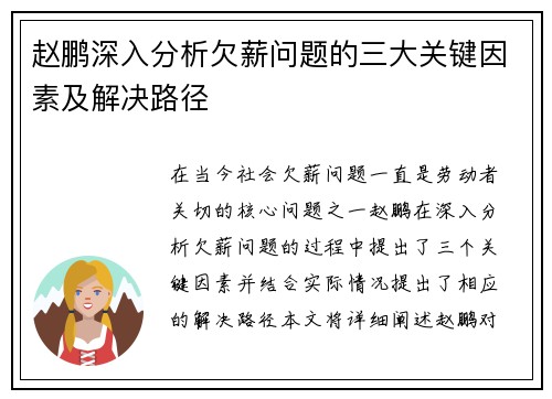 赵鹏深入分析欠薪问题的三大关键因素及解决路径